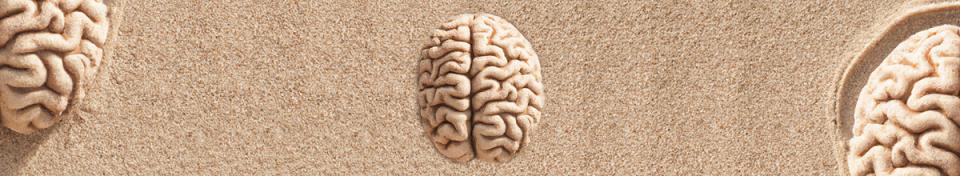 cervello su sabbia. ©DALL·E, 2023, CC-BY 4.0